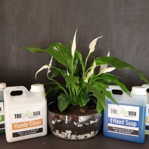 Cleaning Products